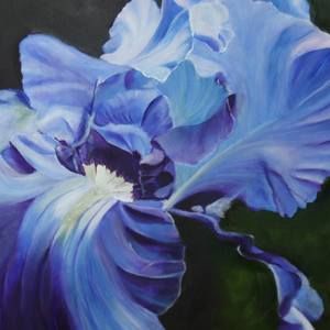 Meet your Posher, Barbara